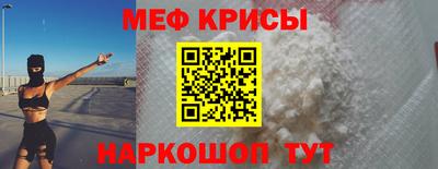 молекула духа Кингисепп