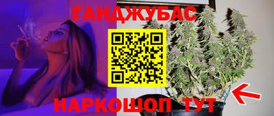 молекула духа Кингисепп