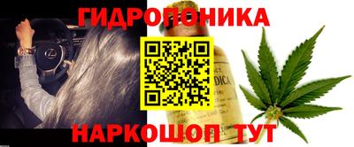 молекула духа Кингисепп