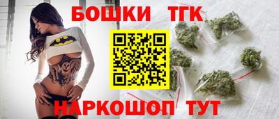молекула духа Кингисепп