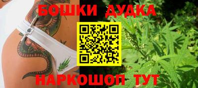 молекула духа Кингисепп