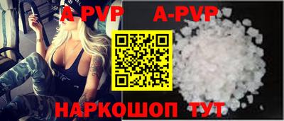 молекула духа Кингисепп
