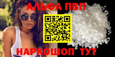 молекула духа Кингисепп