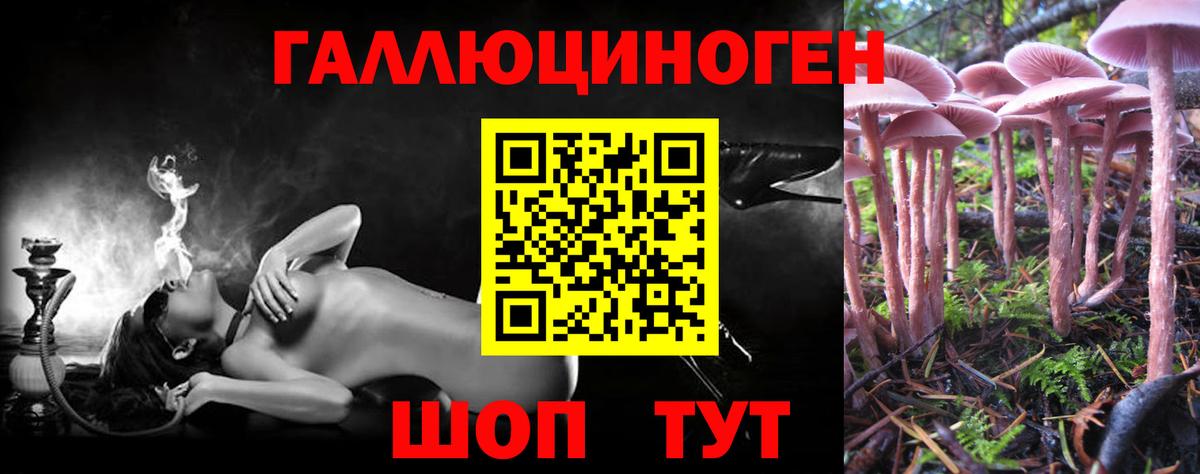 Галлюциногенные грибы MAGIC MUSHROOMS  Вход с VPN  Орск 